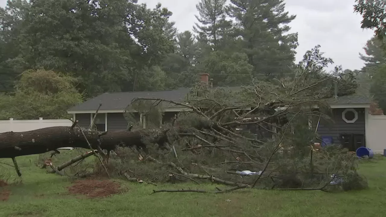 Mass. residents left cleaning up severe storm damage