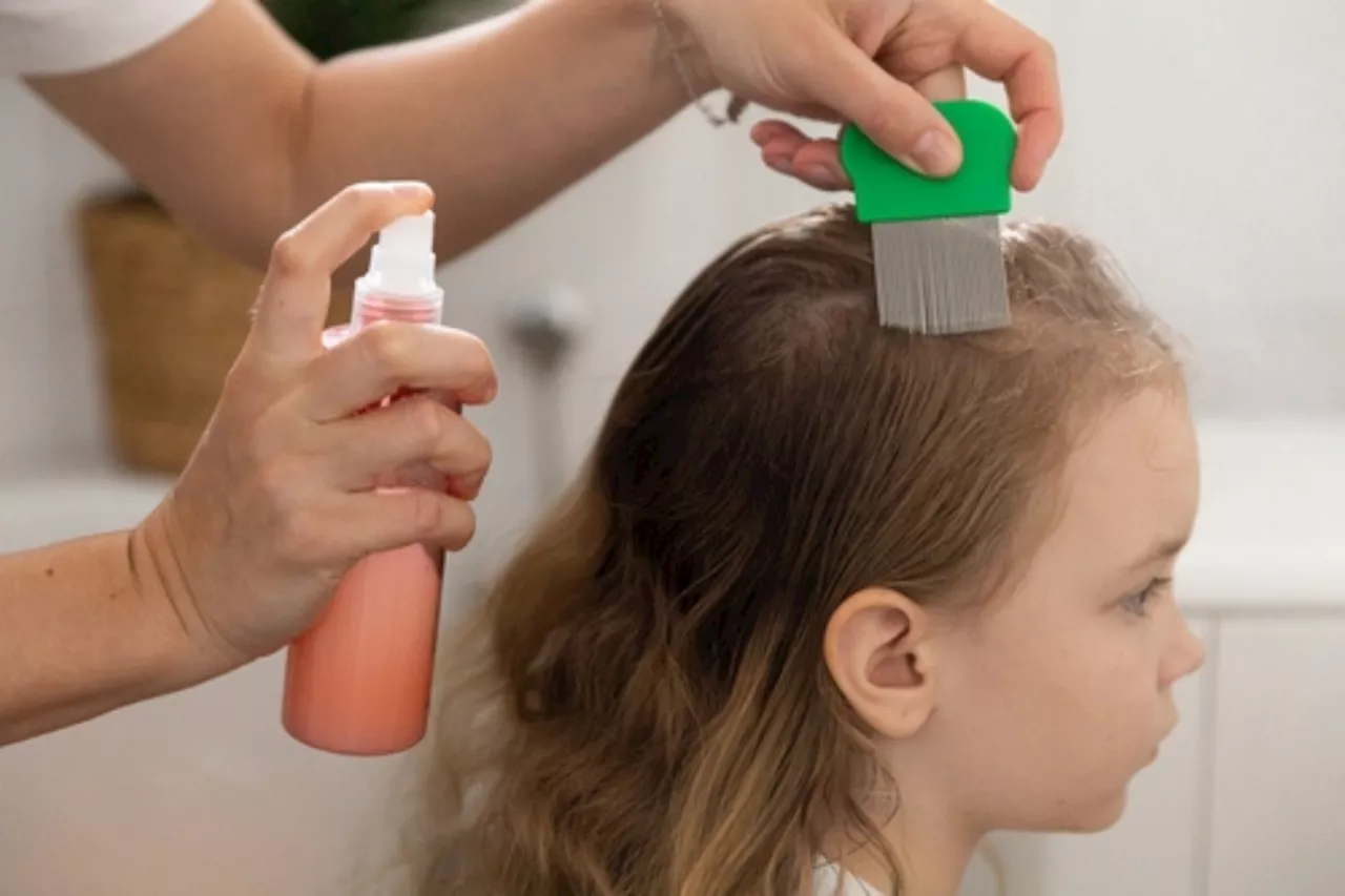 Shoppers spot £1 Home Bargains accessory that 'gets rid of head lice'