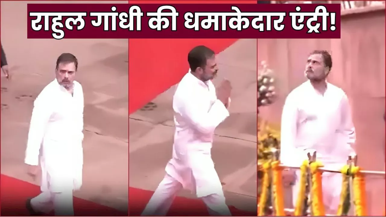 Rahul Gandhi Body Language: देखी नहीं होगी नेता विपक्ष राहुल गांधी ऐसी एंट्री, Viral हो रहा ये Video