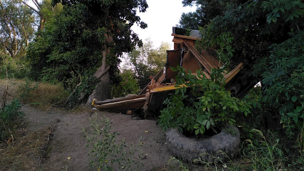 Ostumfahrung Wiener Neustadt: Von Gegnern gebautes Baumhaus geräumt