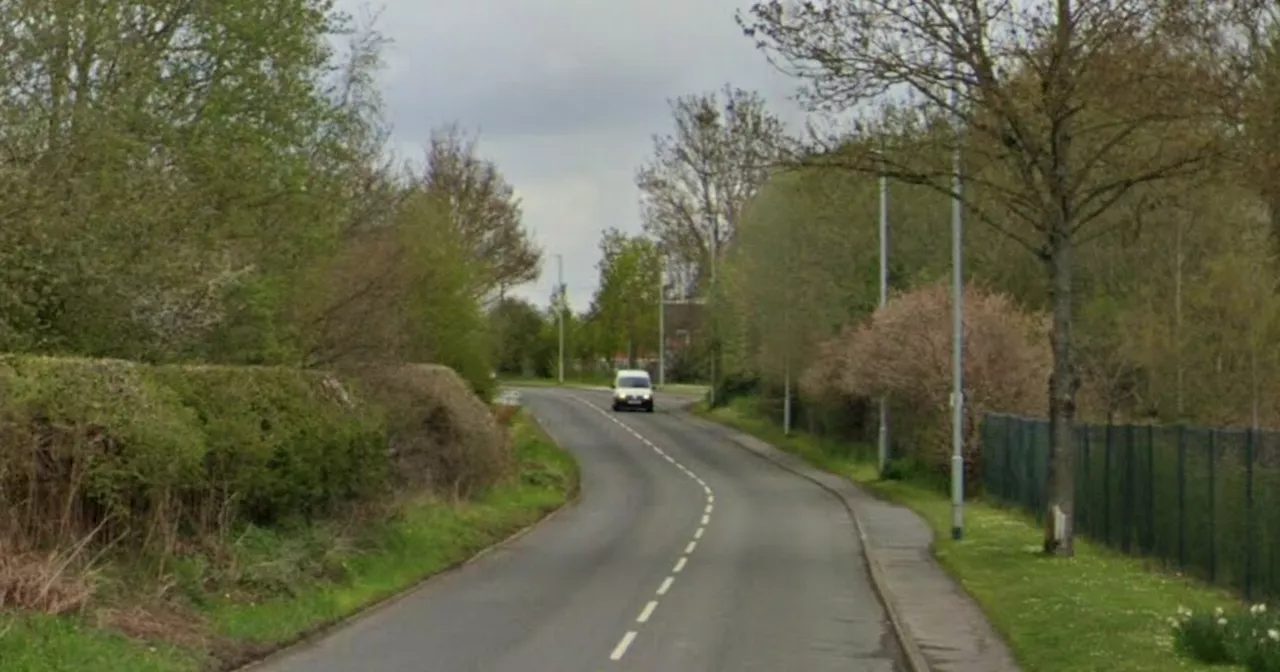 Speeding van driver kills woman who 'staggered' into road