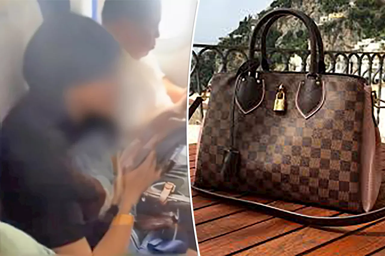 Passenger kicked off flight for refusing to put $3K Louis Vuitton handbag on the floor