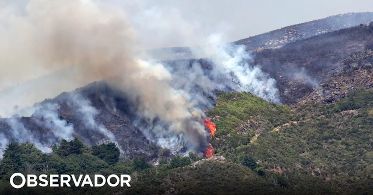 Governo da República ofereceu apoio para combate ao fogo na Madeira