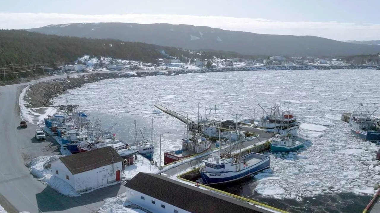 Un documentaire retrace l’épopée du premier câble transatlantique, ce samedi sur Arte