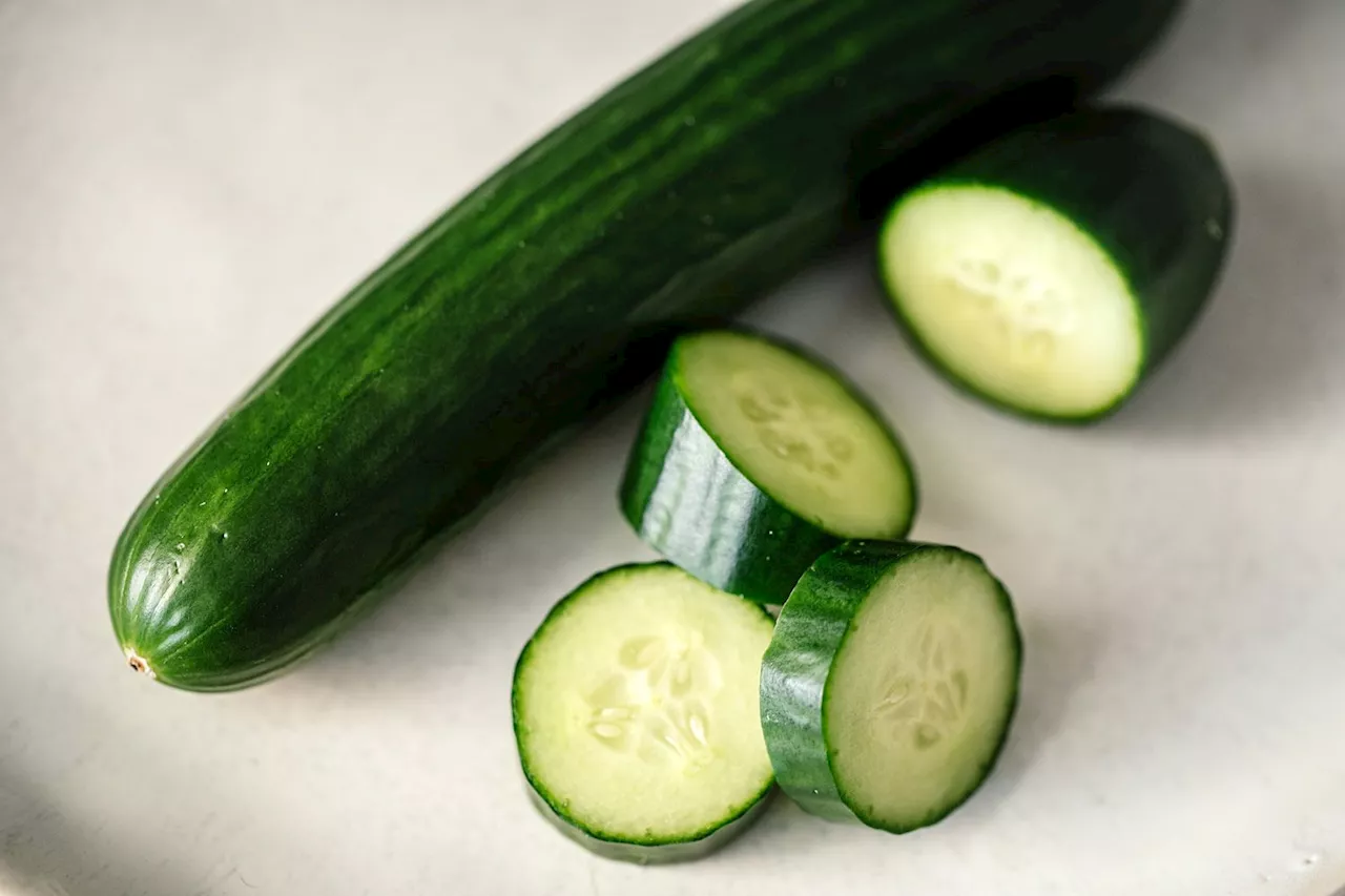 Cucumbers Linked to Salmonella Outbreak Resulted in 449 Illnesses in 31 States