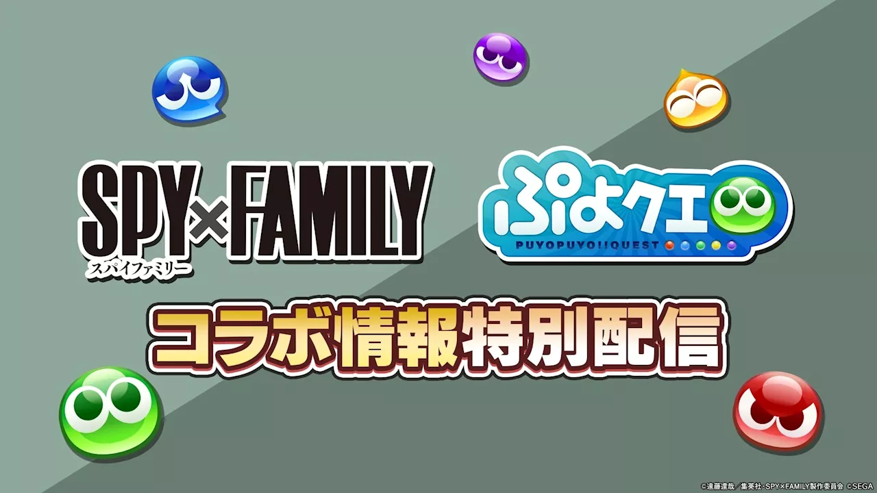 『ぷよぷよ!!クエスト』TVアニメ『SPY×FAMILY』とのコラボ開催決定！「ぷよクエ『SPY×FAMILY』コラボ情報特別配信」8月24日（土）20時より放送！！