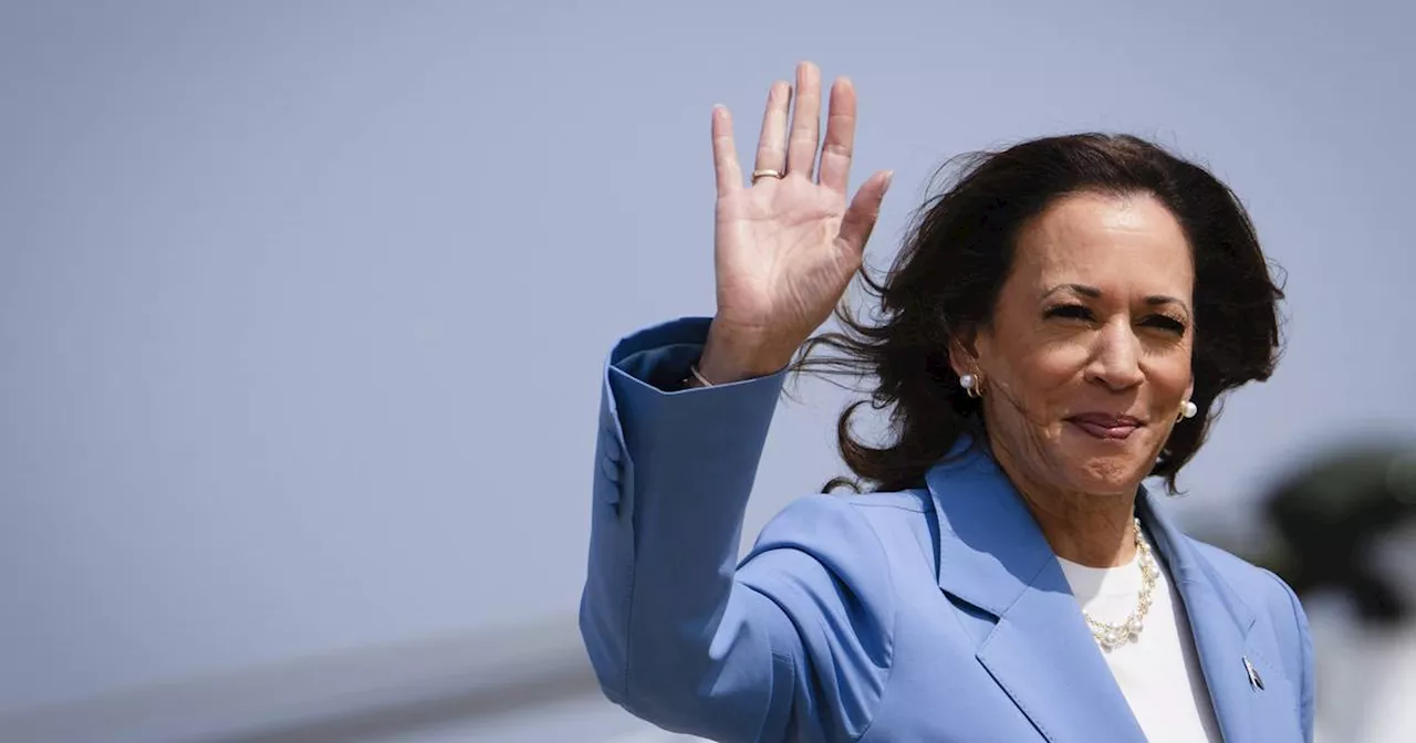 Kommentar zu US-Wahlen 2024: Kamala Harris wird zum Popstar der US-Politik