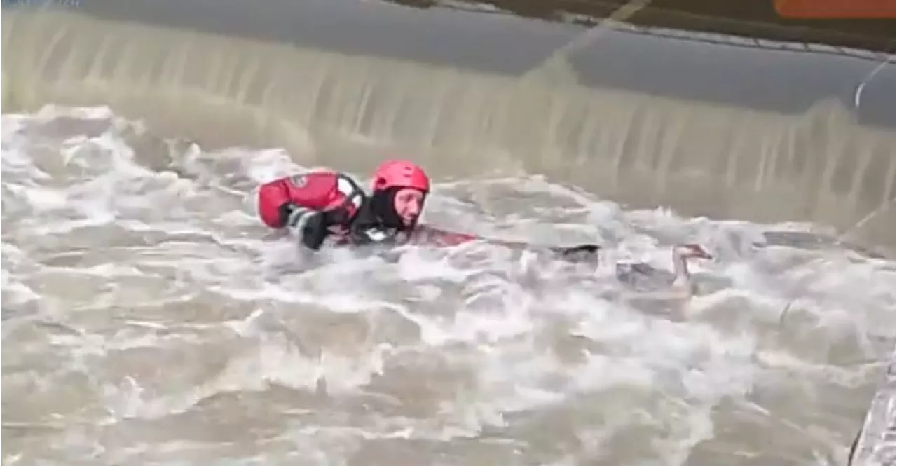 Baignade interdite dans le canal de l'Ourthe : 4 jeunes secourus en 15 jours