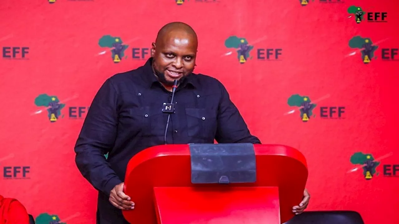 Shivambu, Manyi's exit from EFF to bolster MK party's image: Ndhlela - SABC News - Breaking news, special reports, world, business, sport coverage of all South African current events. Africa's news leader.