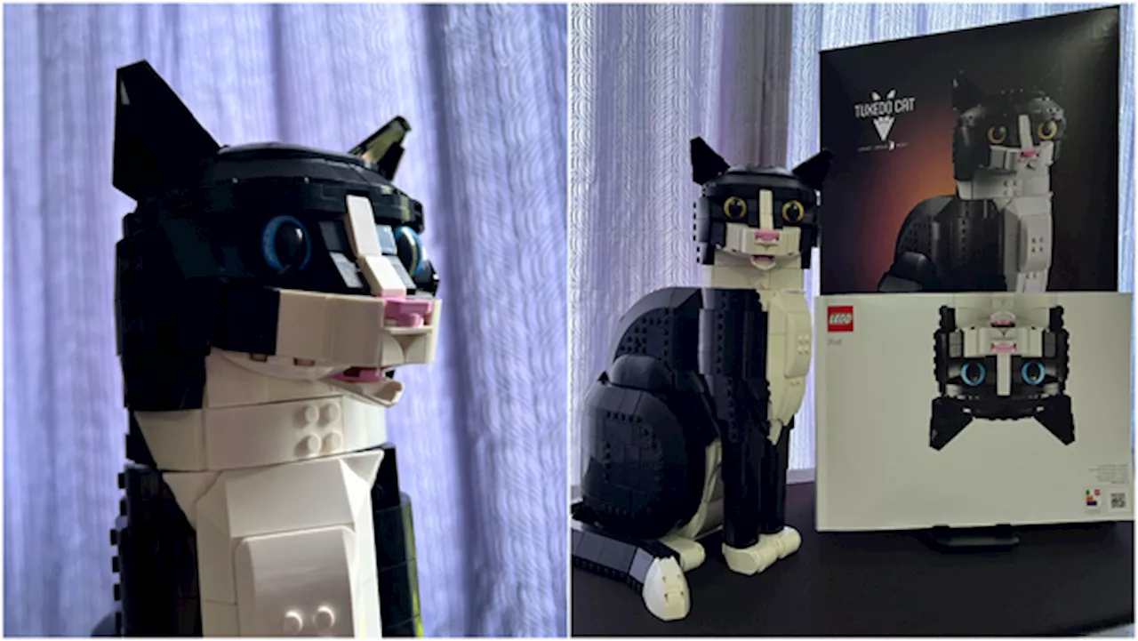 I Got Sad, So I Decided To Build A LEGO Cat & It Cheered Me Up