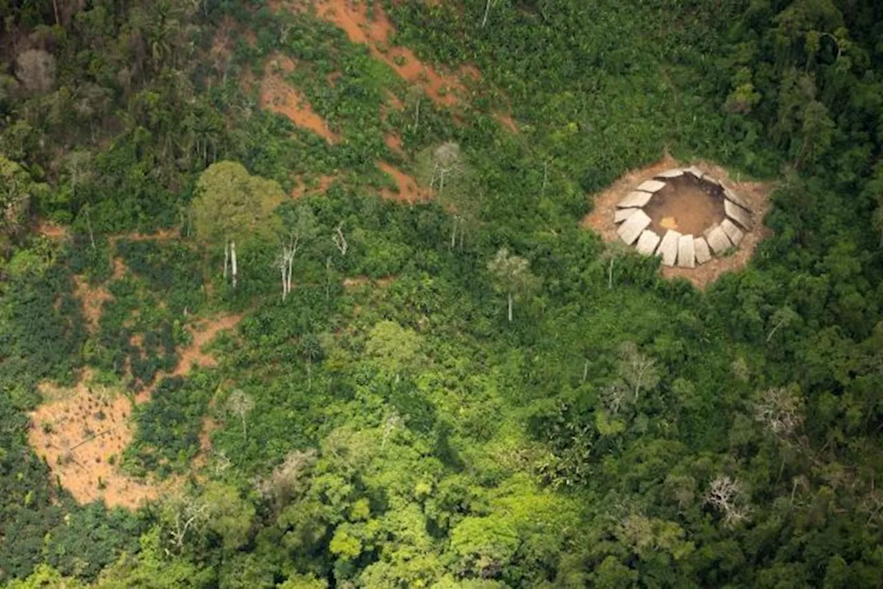 Fachin autoriza Defensoria Pública da União a atuar para proteger indígenas isolados