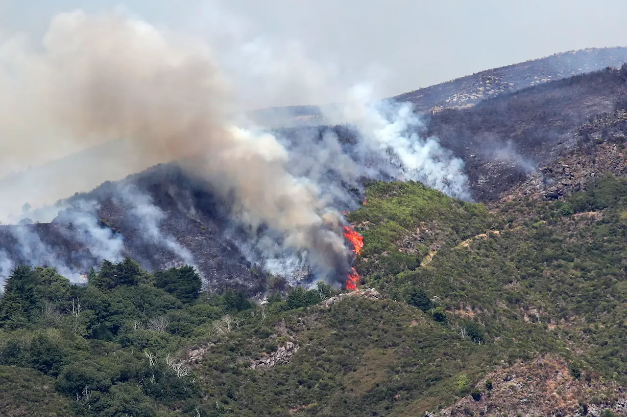 Incêndio na Madeira continua ativo e ameaça Curral das Freiras