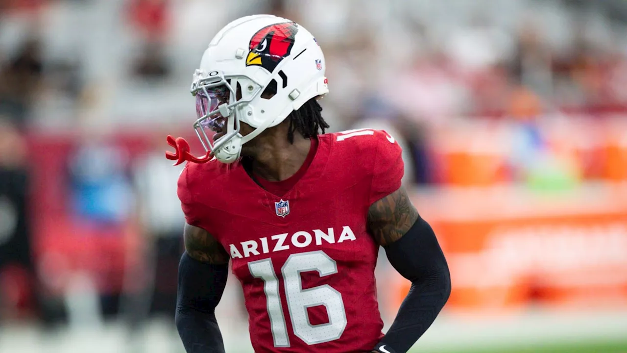 Don't Be Surprised to See Arizona Cardinals in Playoff Hunt