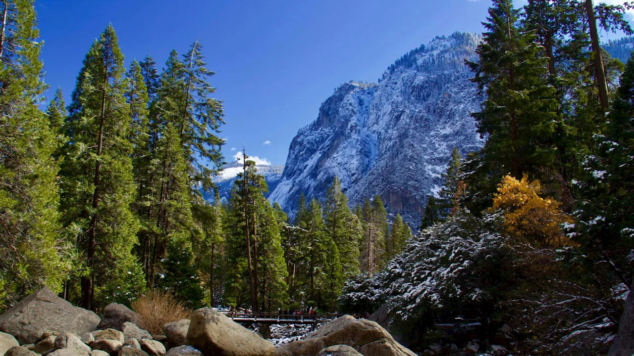 Yosemite National Park Seeking Final Opinions on New Reservation System