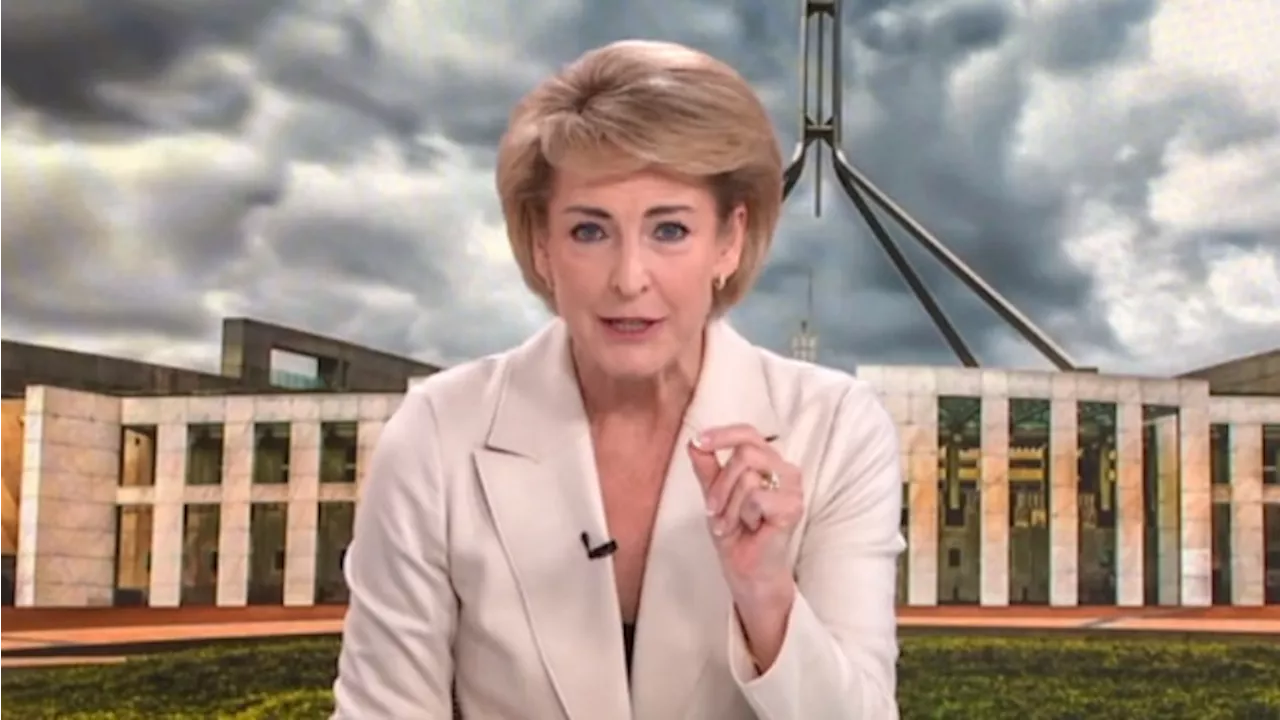 Michaelia Cash tears into PM and Zali Steggall over Palestinian visa debate