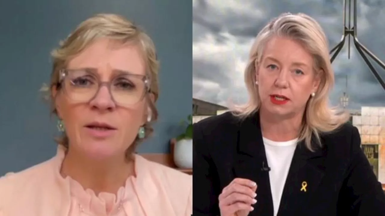 Steggall and McKenzie clash over ‘racist’ remark amid Gaza refugee debate