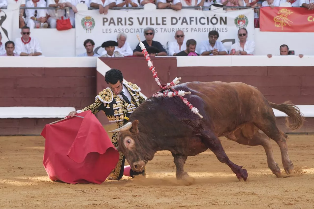 Feria de Dax 2024 : affluence, micro et genoux dans nos échos du callejon de la corrida du 17 août