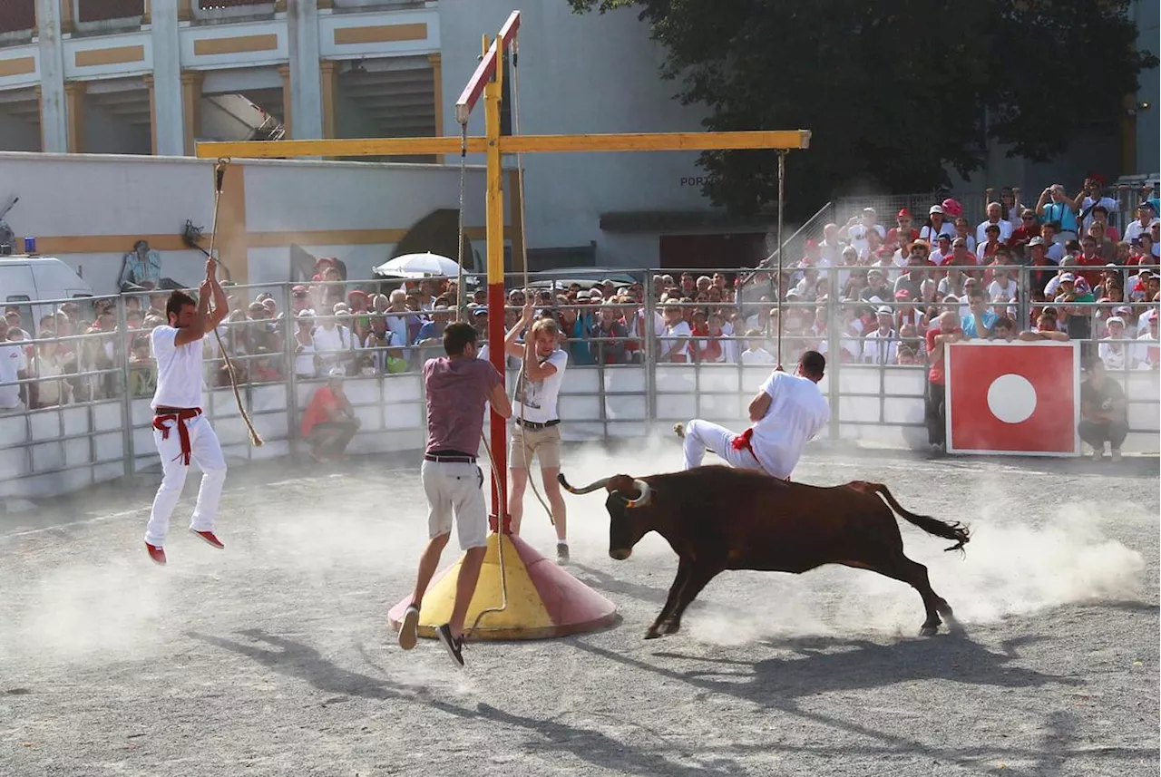 Feria de Dax 2024 : dans les petites arènes, place au grand spectacle