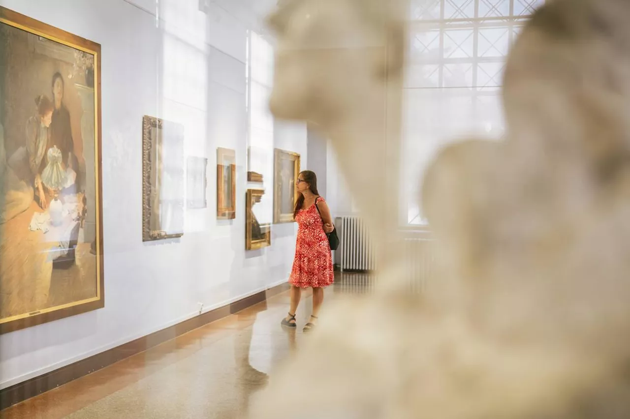 Pau : retour en douceur des visiteurs dans les musées cet été