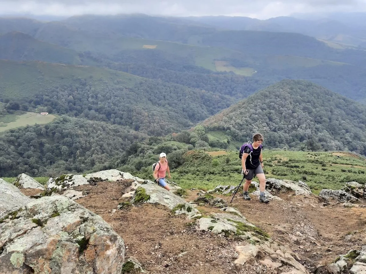 Pays basque : à Urrugne, ils se mobilisent pour la préservation de la montagne