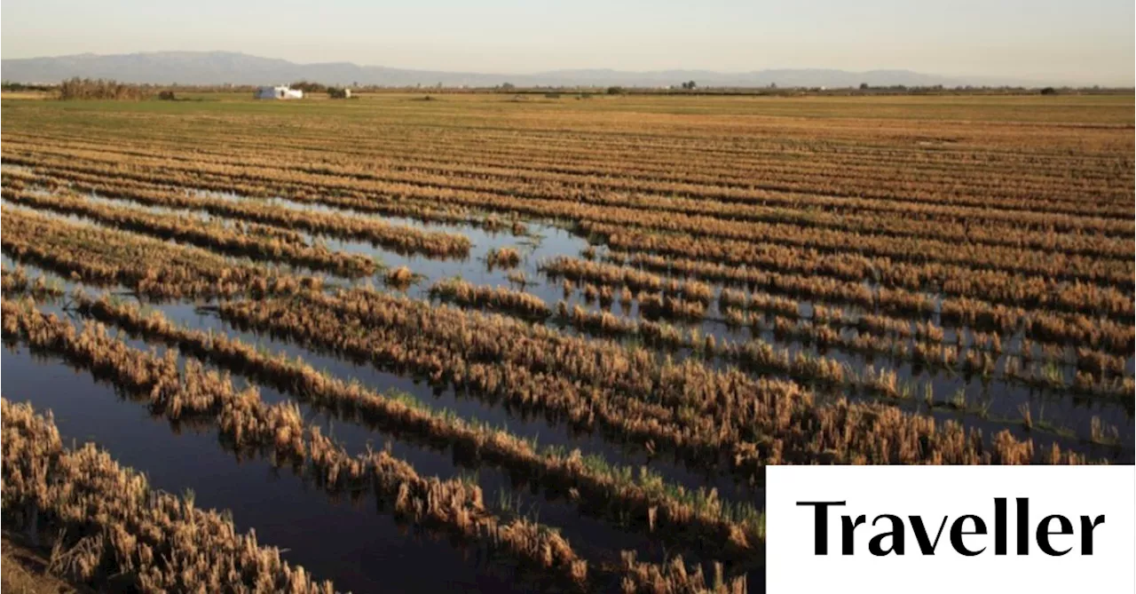 The ‘Land of Mirrors’ that lies behind Spain’s best paella