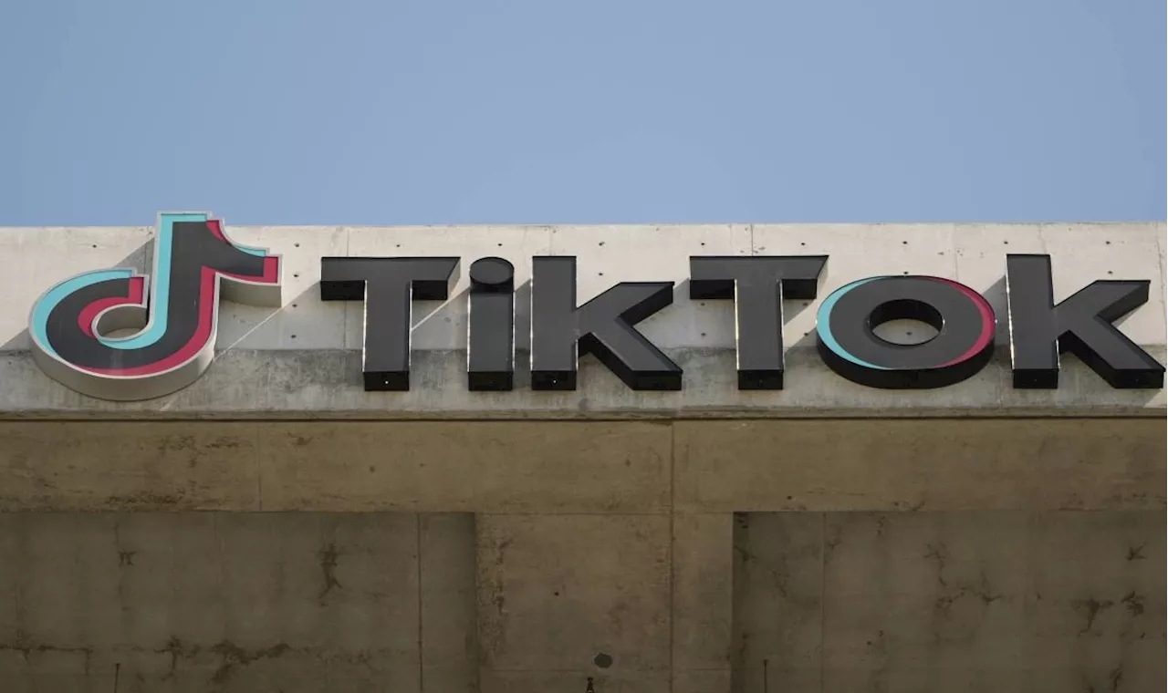 TikTok compares itself to foreign-owned American news outlets as it fights forced sale or ban