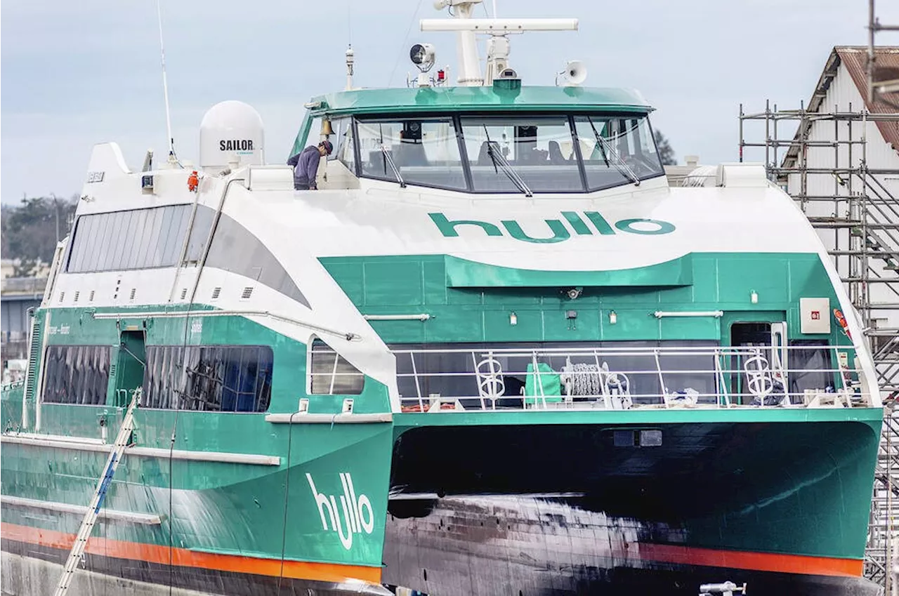 On the Street: Hullo Ferries celebrates one-year anniversary