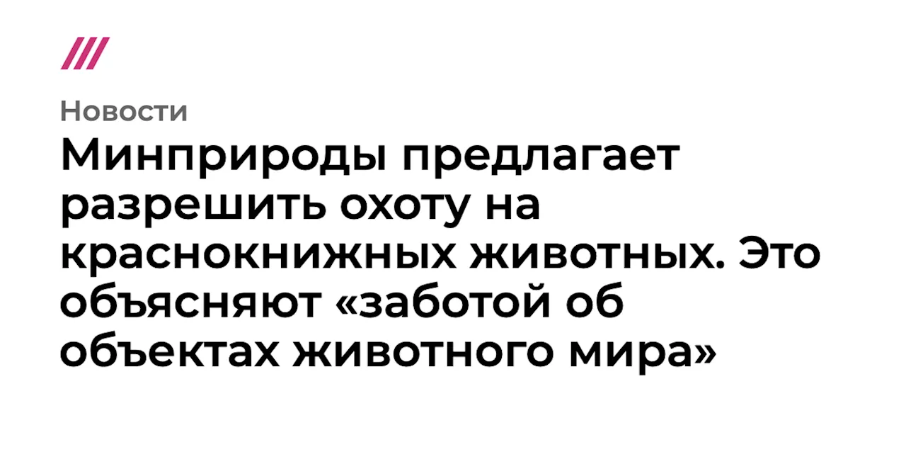 Минприроды предлагает разрешить охоту на краснокнижных животных. Это объясняют «заботой об объектах животн...