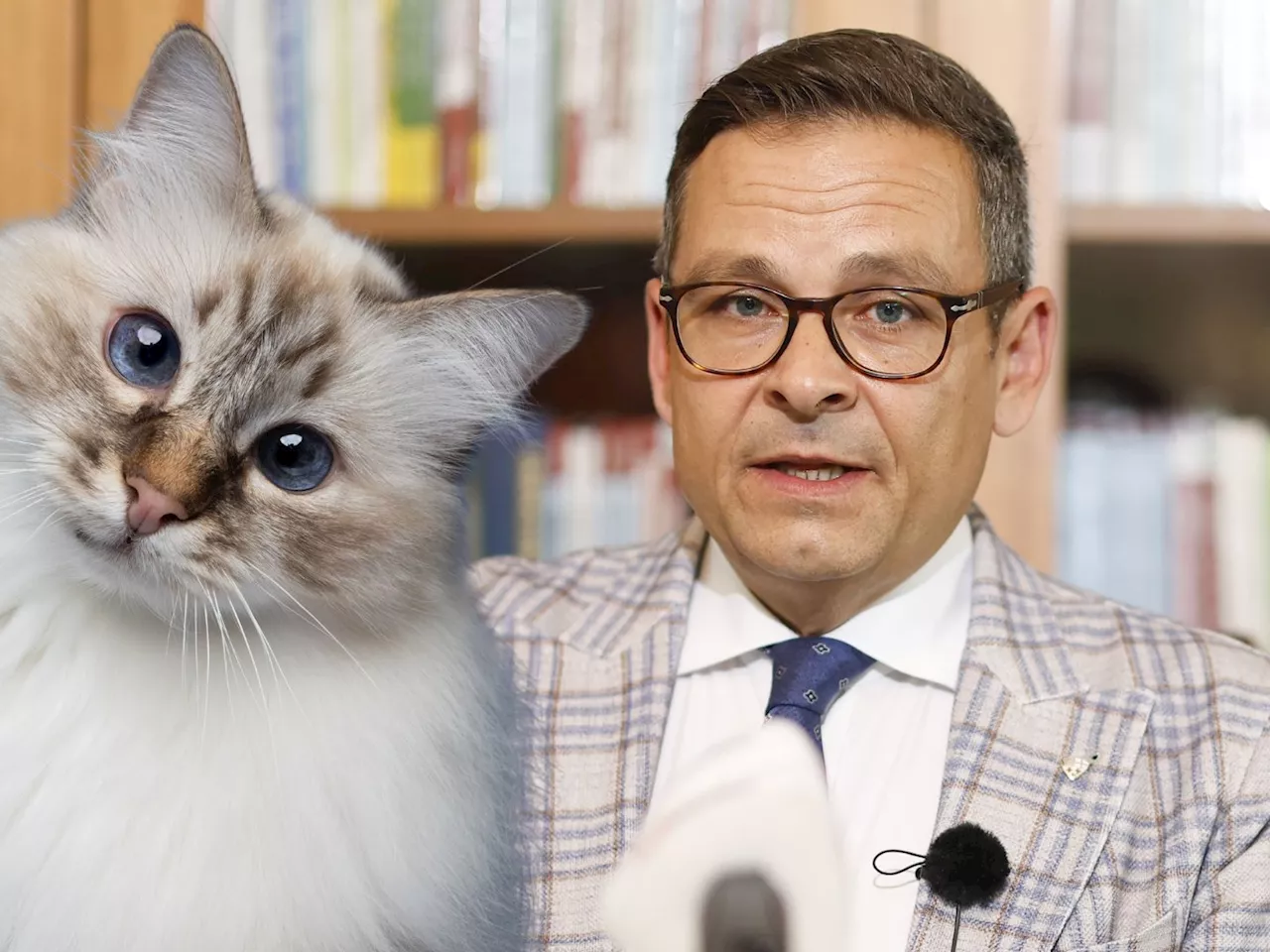 Gerald Grosz' Katze erhielt Mahnung von ORF