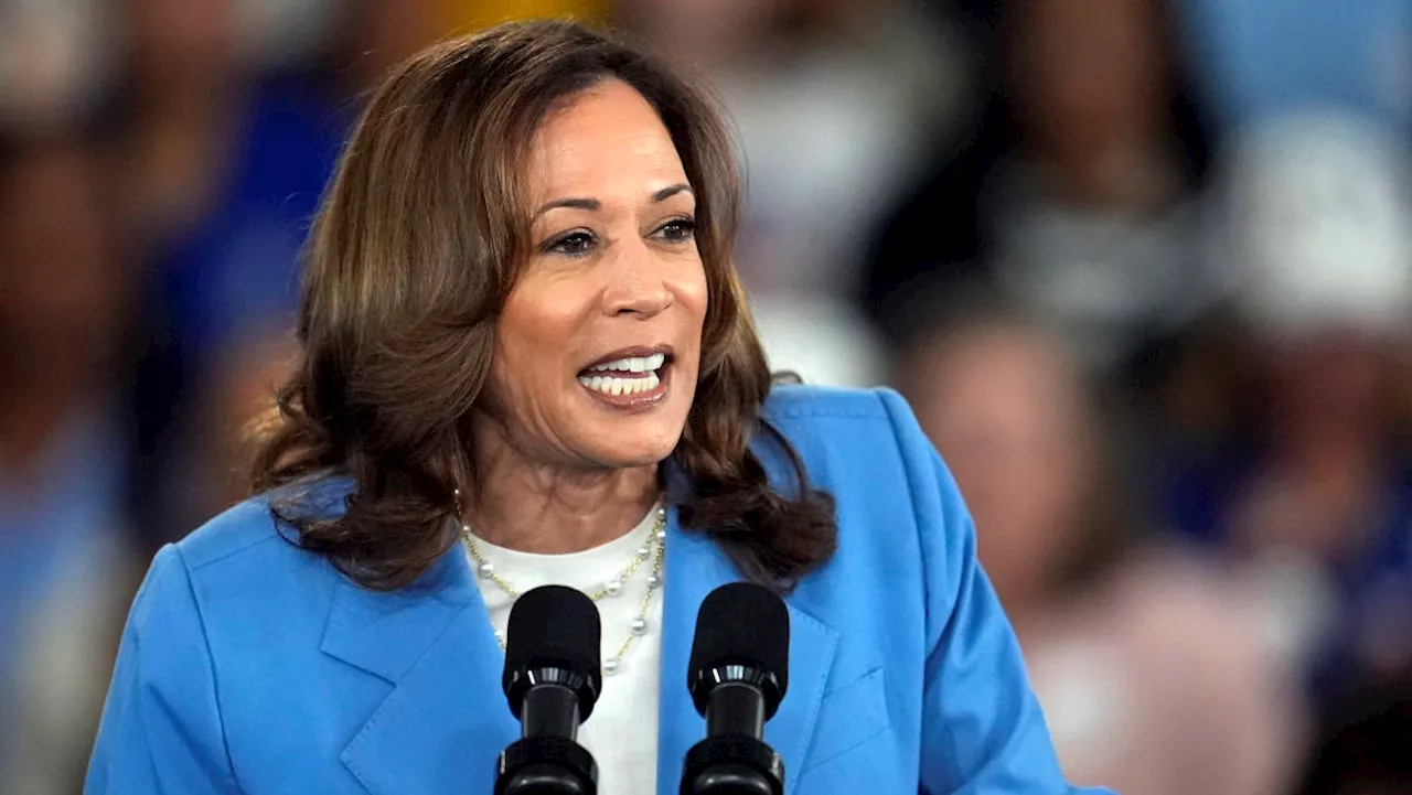 Kamala Harris's economic agenda targets swing state voters