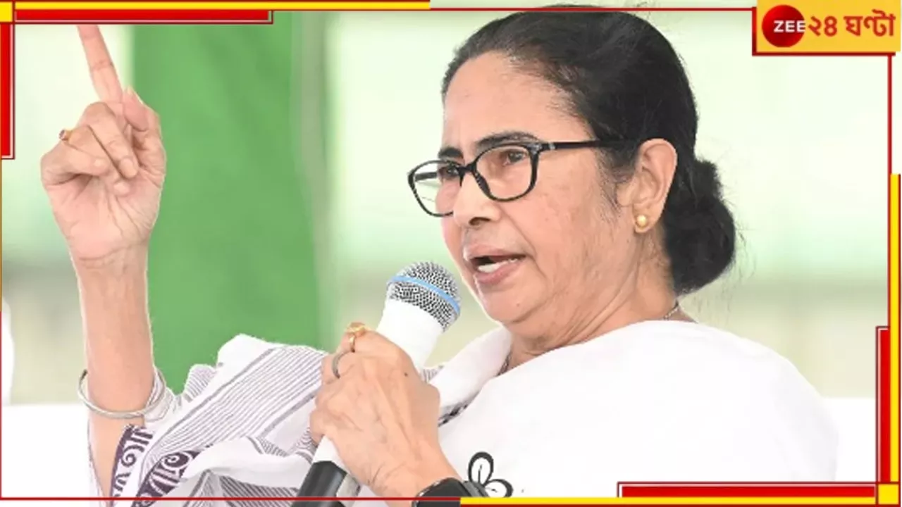 Kolkata Doctor Rape and Murder Case | Mamata Banerjee: আঘাত করলে আমি হয়ে যাই টর্নেডো, সাইক্লোন!