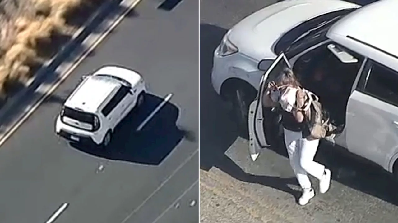 Stolen car suspect drives erratically through LA, attempts bizarre escape