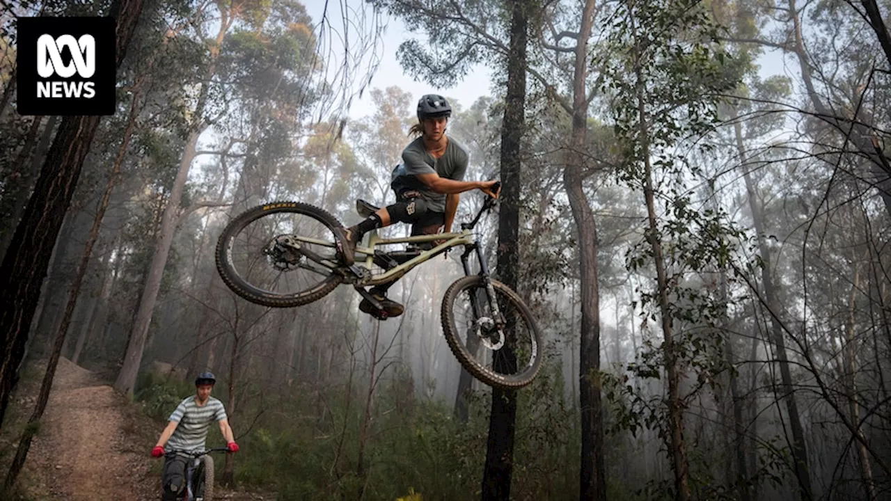 Mogo Mountain Bike Trail Network aims to transform town into a tourism mecca