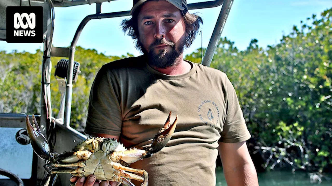 Mud crabbers of King Ash Bay endure harsh lifestyle, extreme weather to catch sought-after seafood