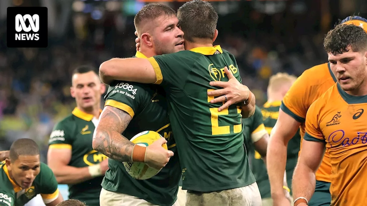 Springboks defeat Wallabies 30-12 in Rugby Championship at Perth Stadium