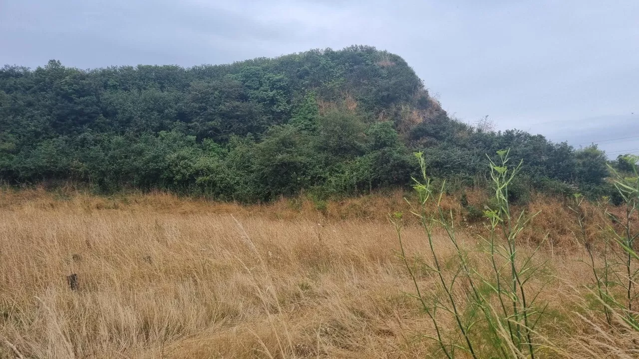 Libération de Saint-Malo : deux souterrains creusés et 500 hommes sur la montagne Saint-Joseph