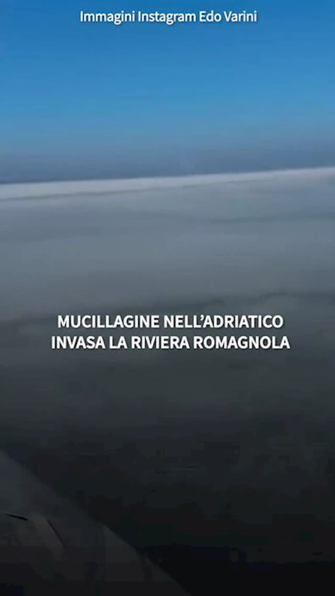 Mucillagine nell'Adriatico, invasa la Riviera Romagnola