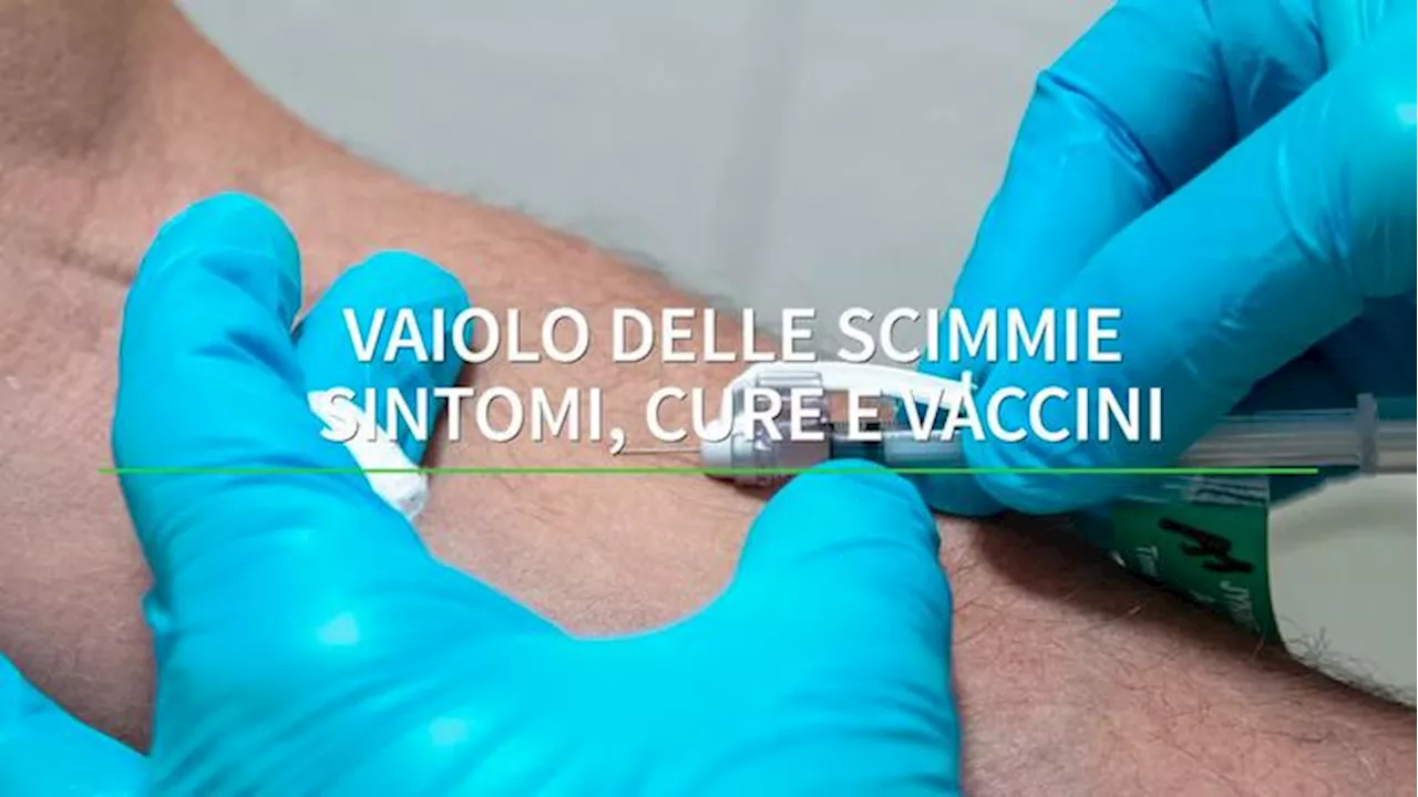 Vaiolo delle scimmie: sintomi, cure e vaccini