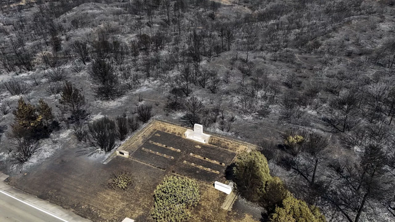 Wildfires rage in western Turkey for a 3rd straight day exacerbated by windy and dry weather