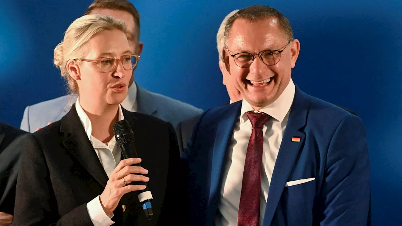 2 Wochen vor Ost-Wahlen: AfD legt in Umfrage wieder zu