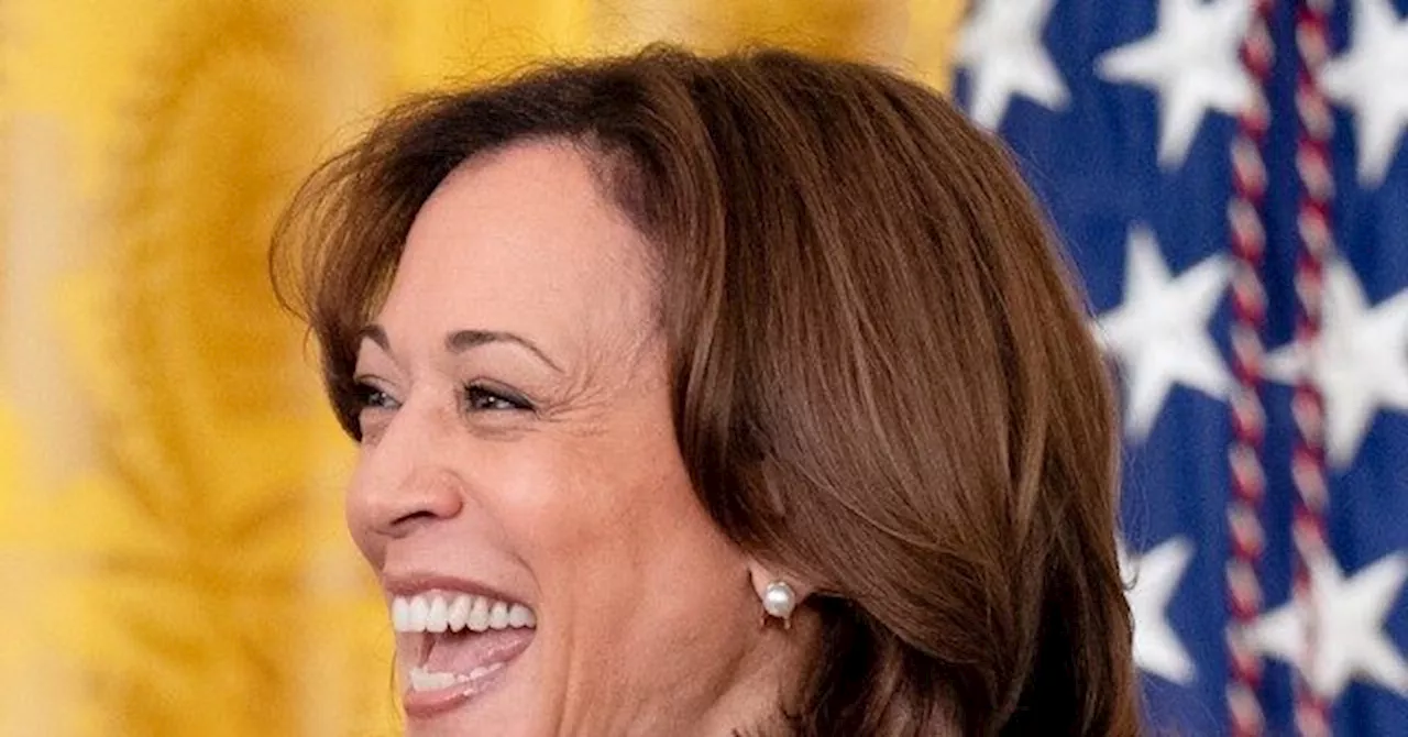 Dem Rep. Amo: Harris’ ‘Thoughtful’ Policies on Inflation Have Had Benefits