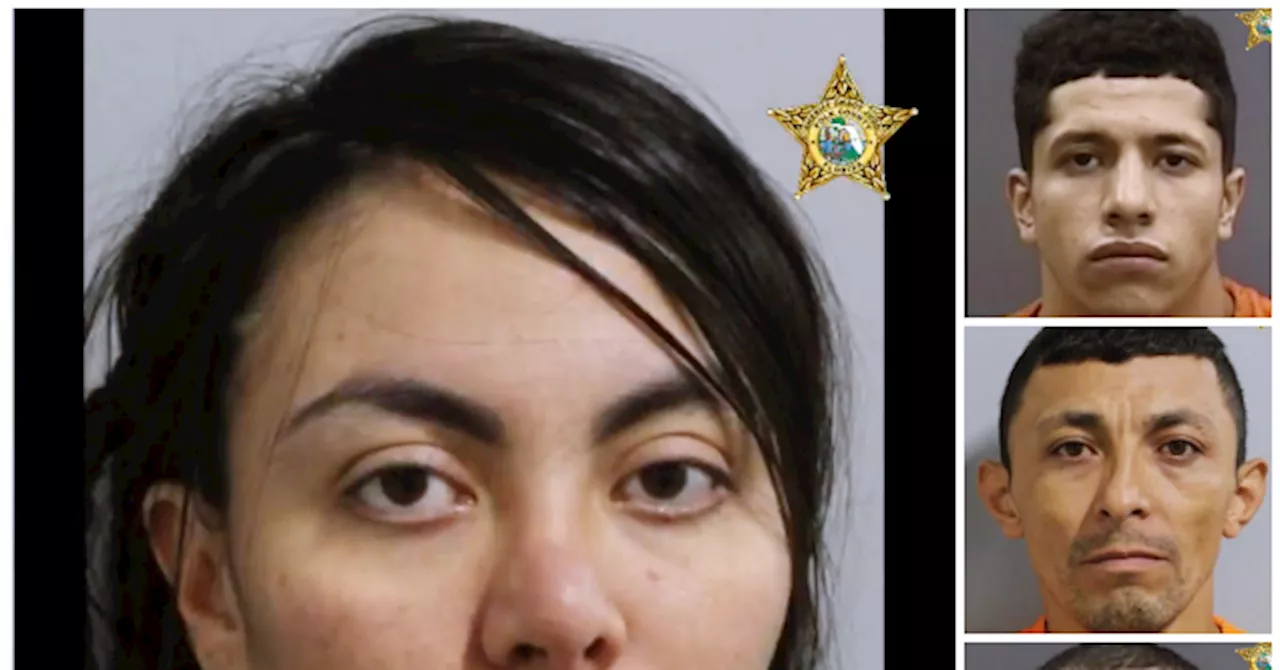 Florida Sheriff: Four Illegal Aliens Operated Theft Ring, Stealing $1.7M in 9 Burglaries