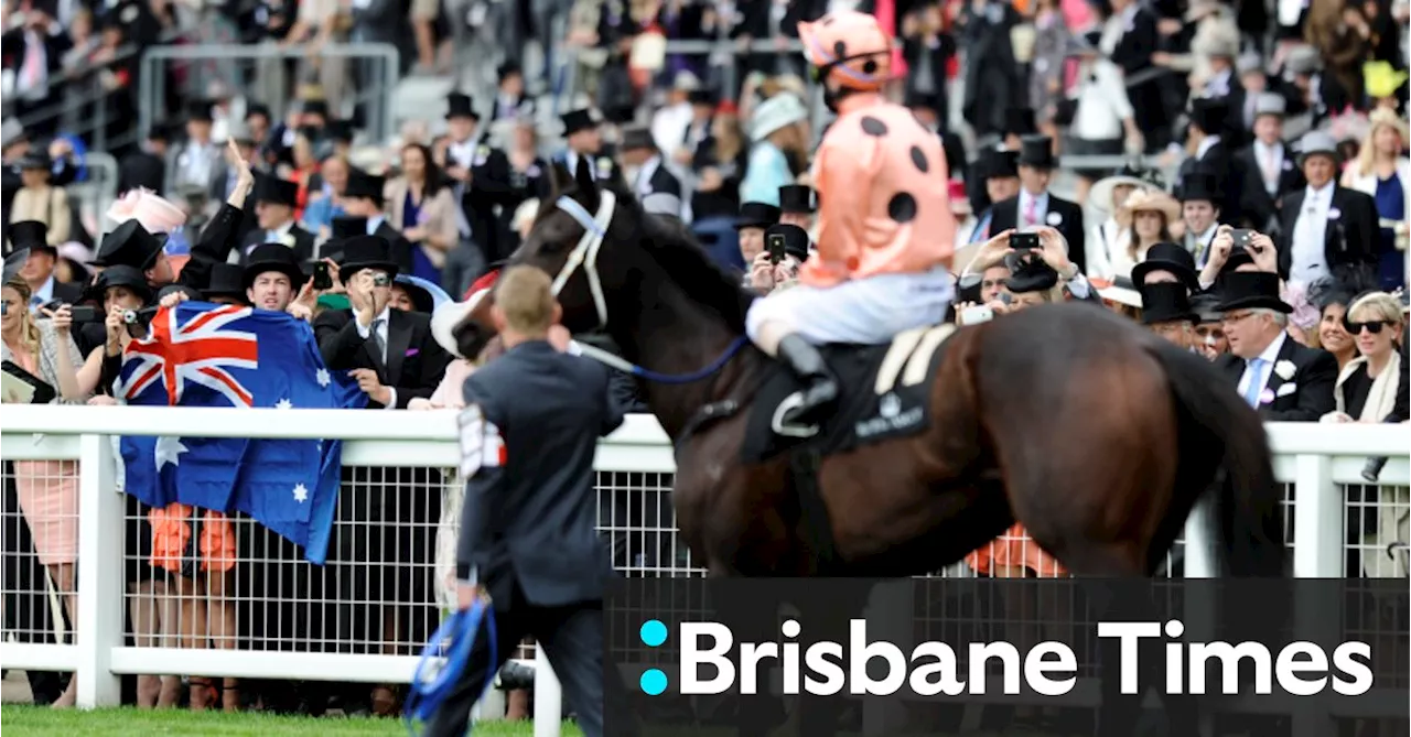 Champion racehorse Black Caviar, who captivated the nation, dies