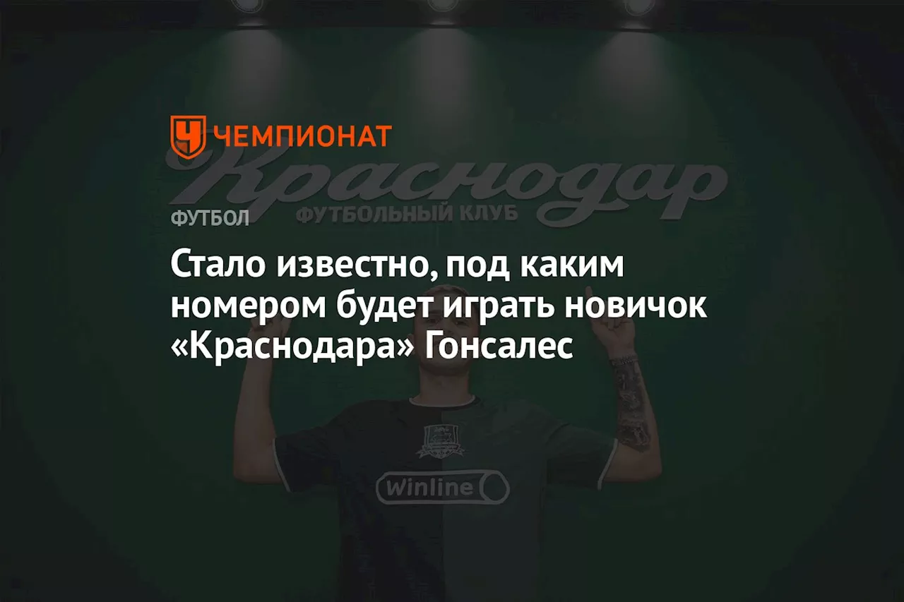 Стало известно, под каким номером будет играть новичок «Краснодара» Гонсалес