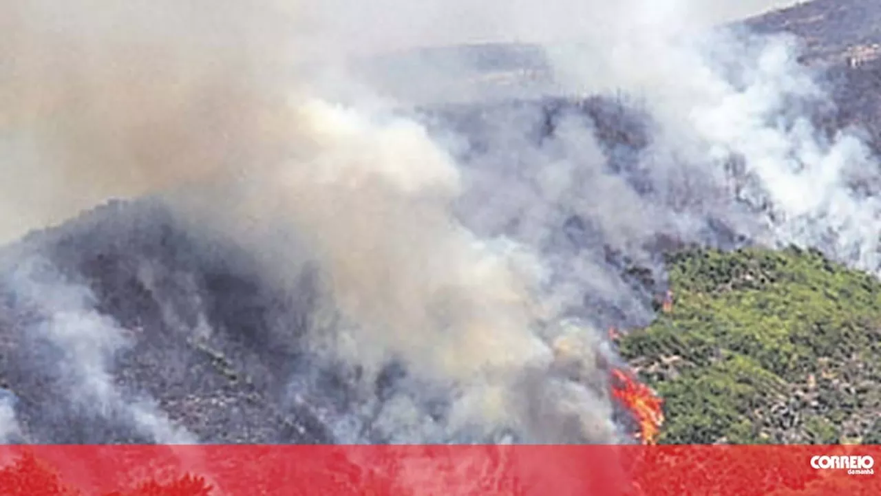 'O fogo está descontrolado': Incêndio na Madeira ameaça casas