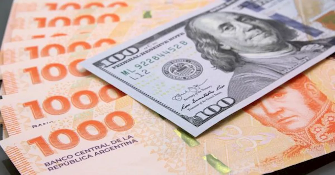 PRECIO del DÓLAR: el lapidario pronóstico de un exdirector del FMI sobre Argentina