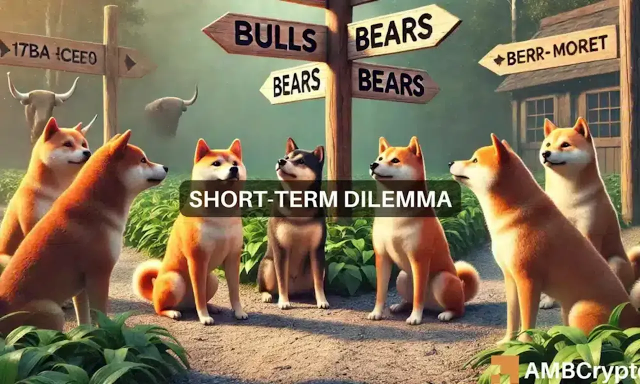 Shiba Inu price prediction – Here’s where SHIB traders should be careful now!