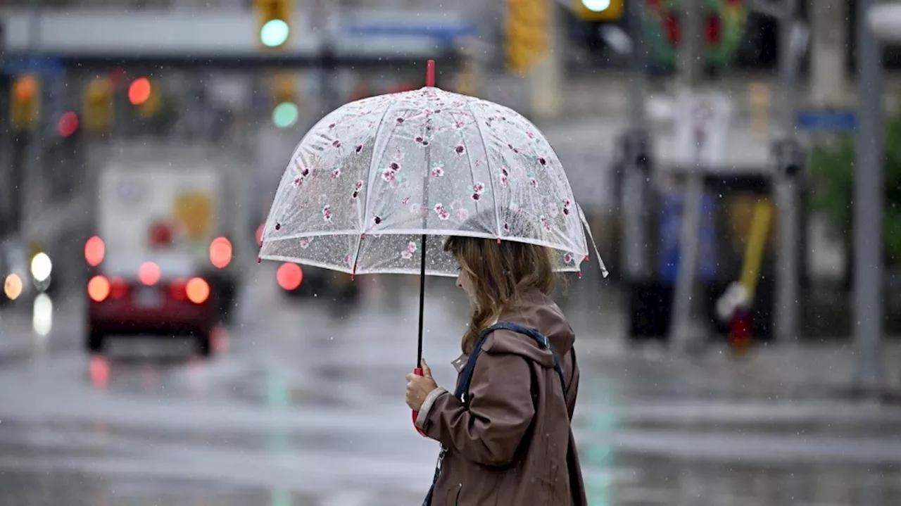 Rainfall warnings issued for parts of eastern Ontario: Environment Canada