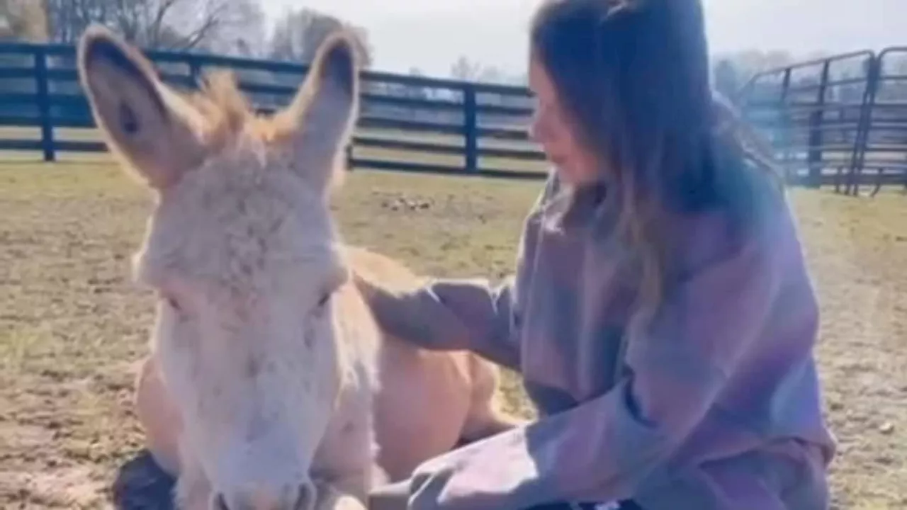 Millie Bobby Brown proudly shows off her sprawling Georgia farm complete with donkeys and chicks