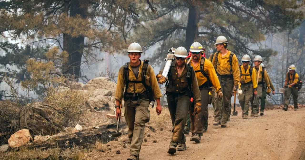 Alexander Mountain Fire in Larimer County fully contained